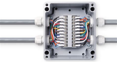 junction box wire names|electrical junction box with connectors.